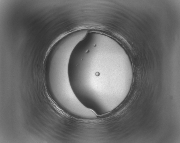 X0000082701114200702161743