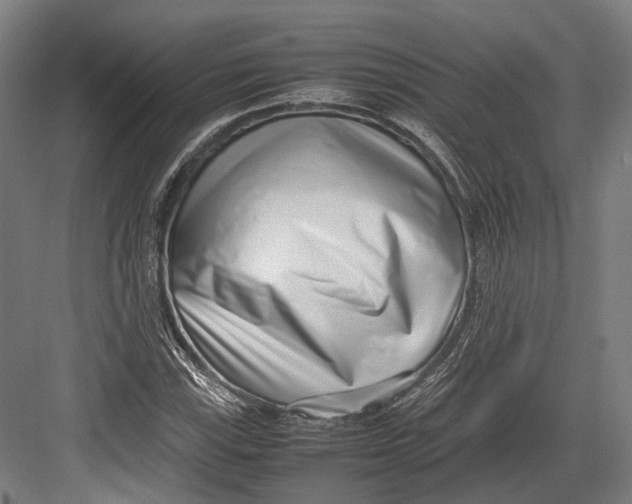 X0000082701115200702161743