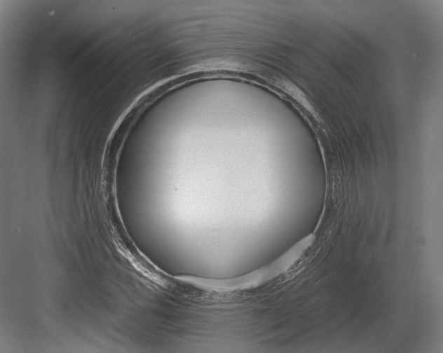 X0000082701116200702161743