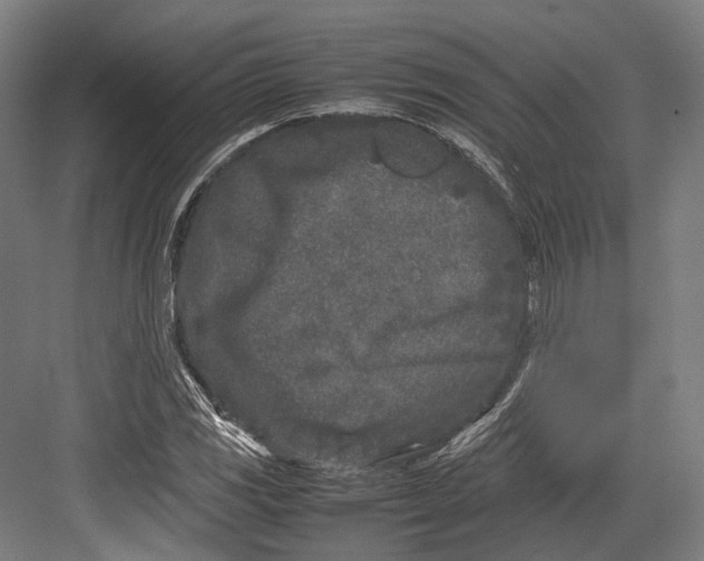 X0000082701117200702161743