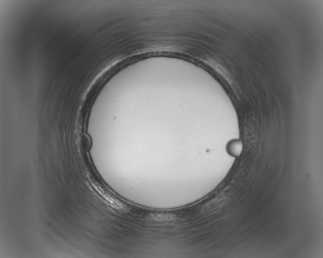 X0000082701119200702161743