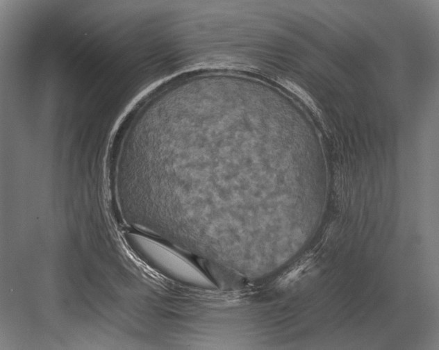 X0000082701120200702161743