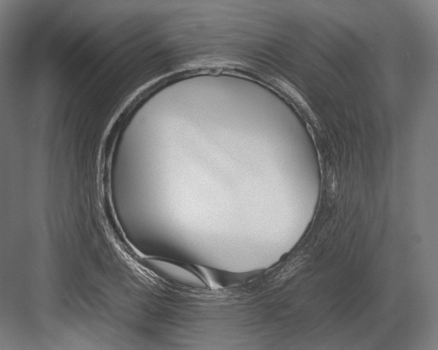 X0000082701124200702161743