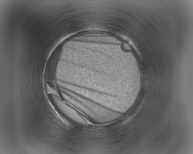 X0000082701125200702161743