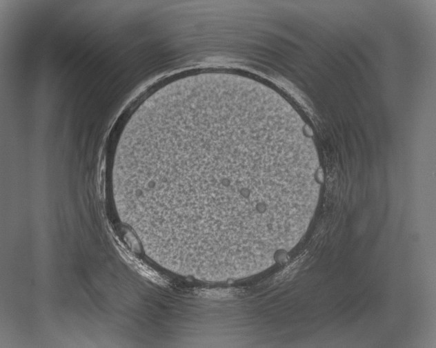 X0000082701126200702161743