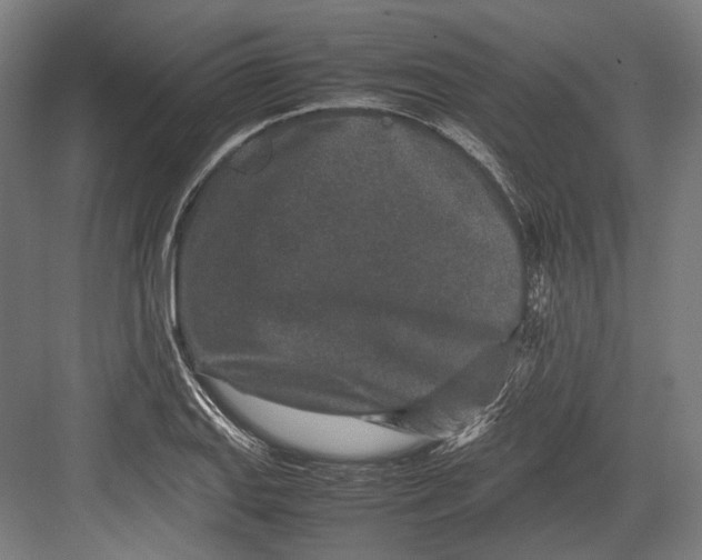 X0000082701127200702161743