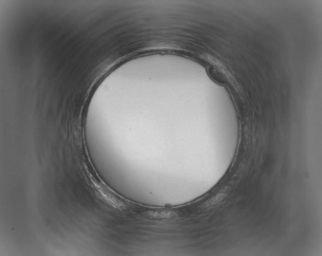 X0000082701129200702161743