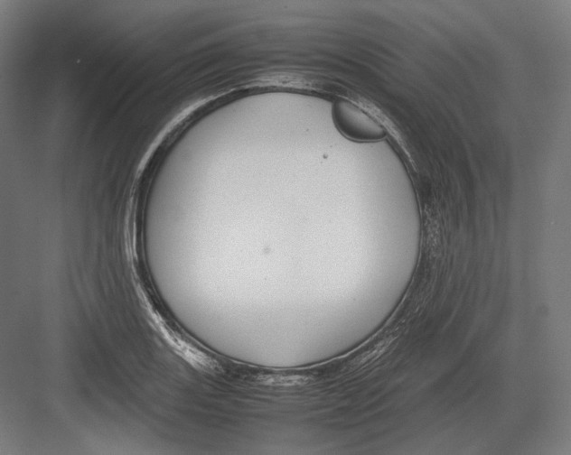 X0000082701131200702161743