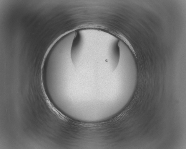 X0000082701132200702161743