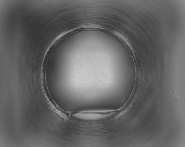 X0000082701133200702161743