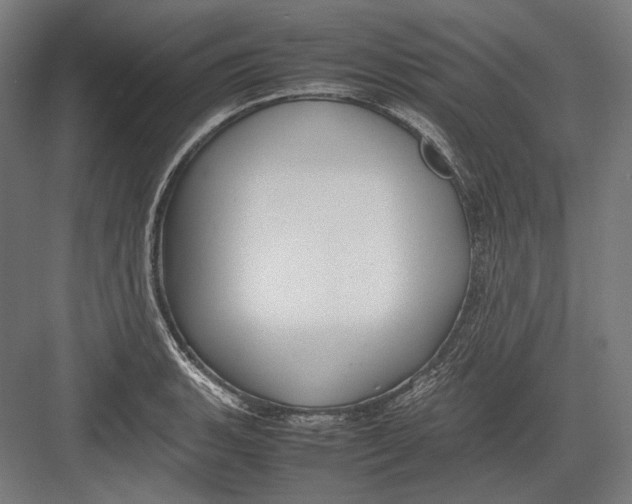 X0000082701135200702161743