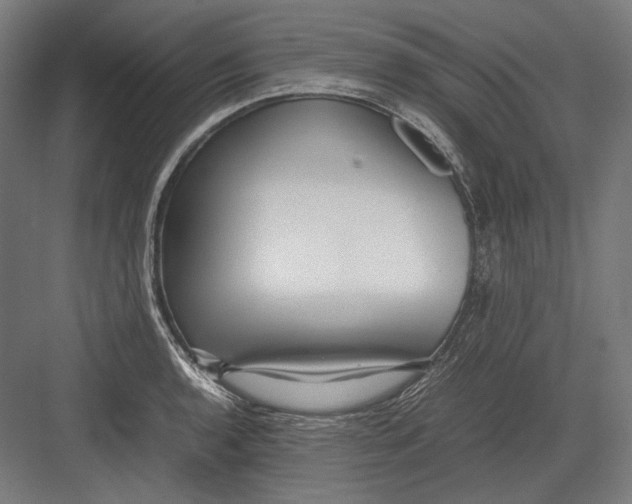 X0000082701136200702161743