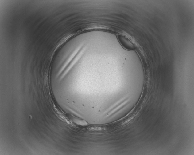 X0000082701137200702161743