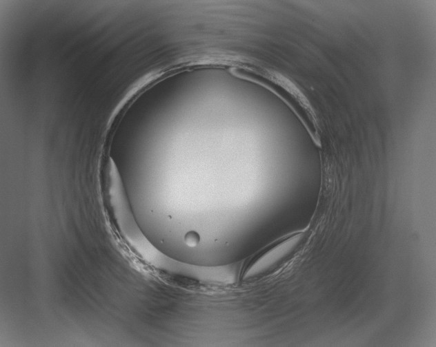 X0000082701138200702161743