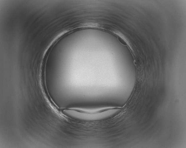 X0000082701139200702161743