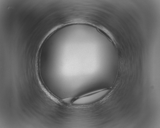 X0000082701142200702161743