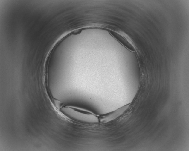 X0000082701143200702161743