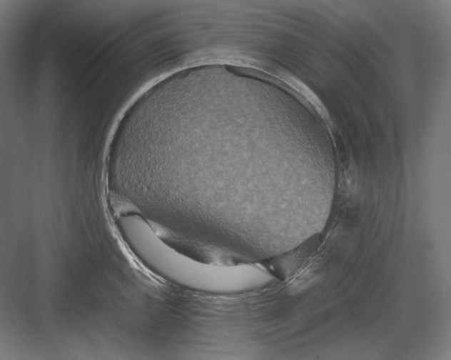 X0000082701144200702161743