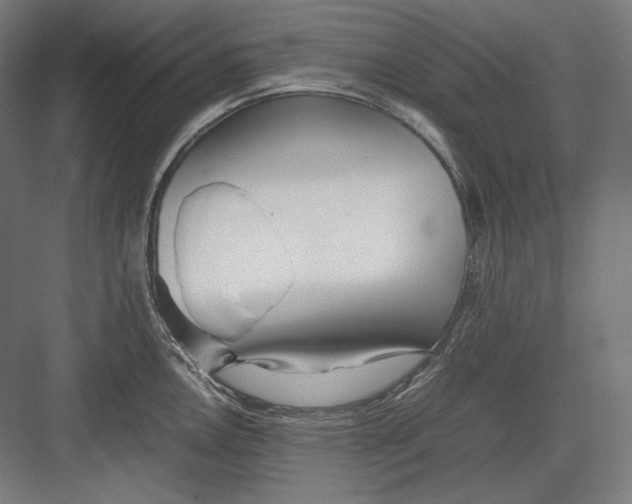 X0000082701146200702161743