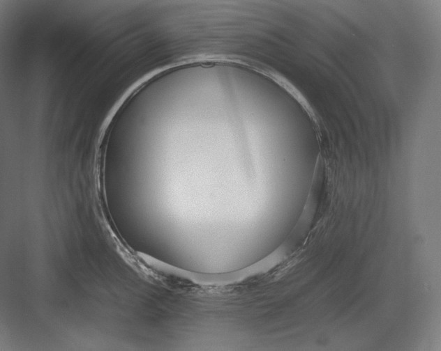 X0000082701148200702161743