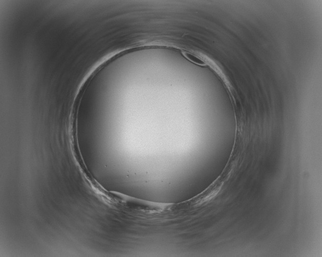 X0000082701149200702161743