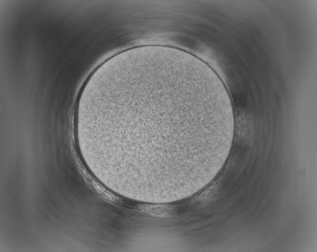 X0000082701150200702161743