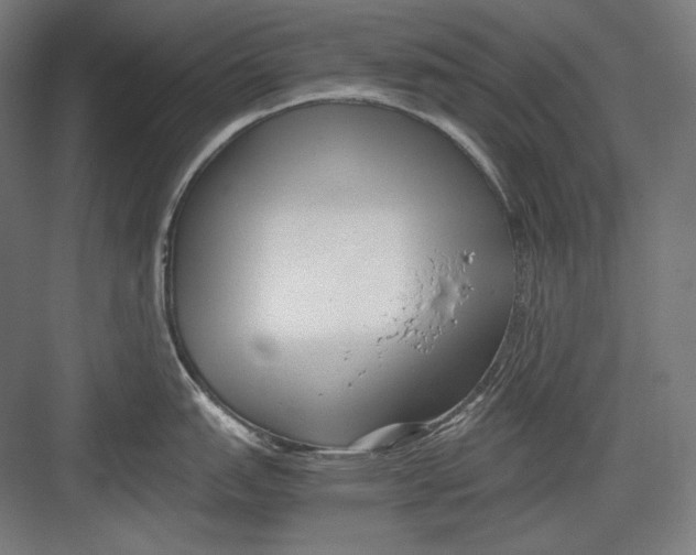 X0000082701151200702161743