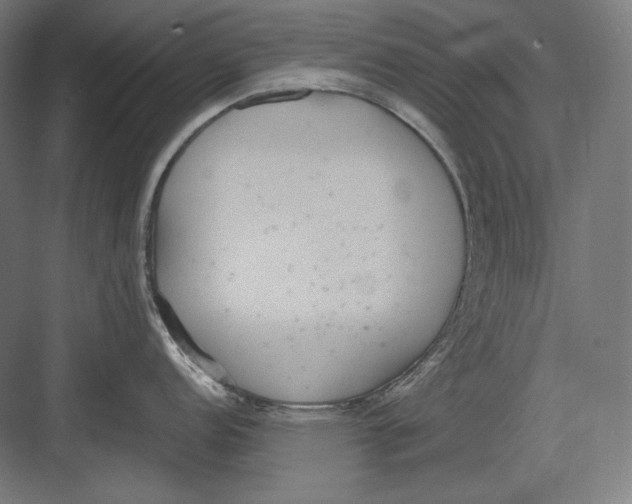 X0000082701152200702161743