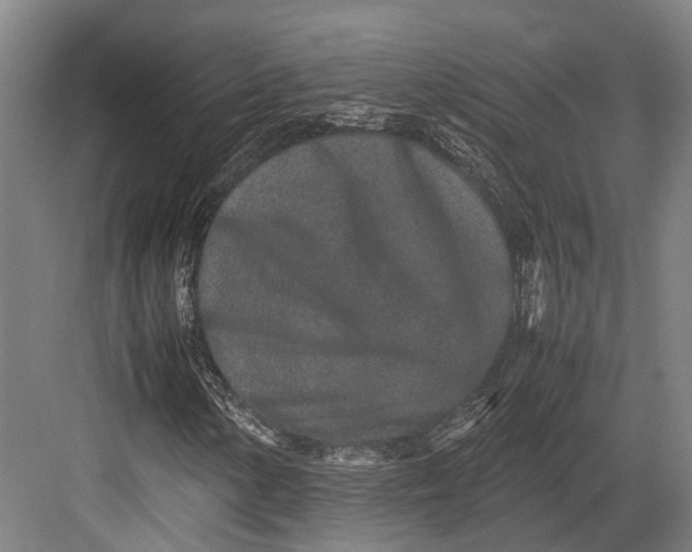 X0000082701154200702161742