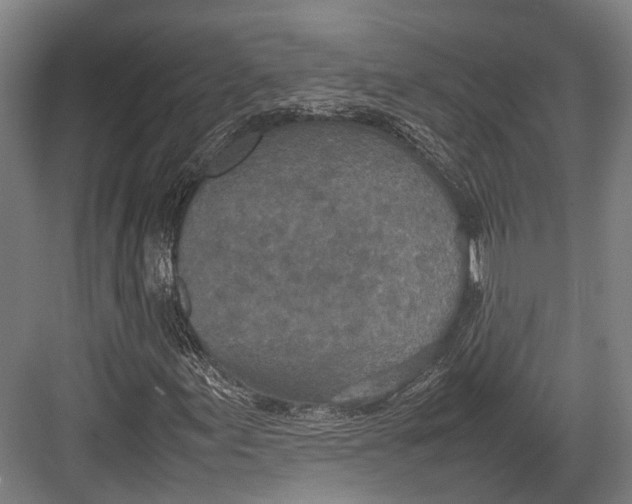 X0000082701155200702161742