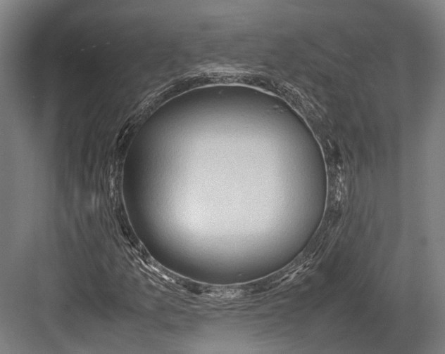 X0000082701157200702161742