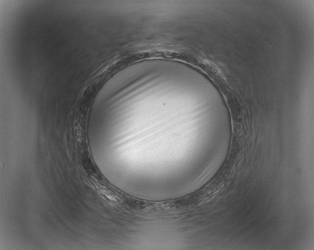 X0000082701159200702161742