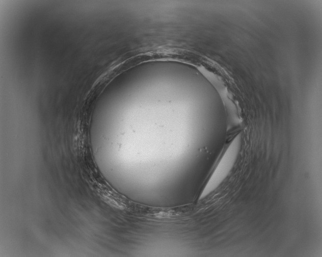 X0000082701160200702161742