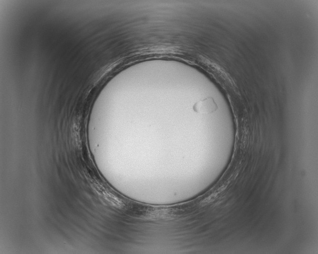 X0000082701162200702161742