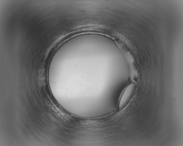 X0000082701164200702161742