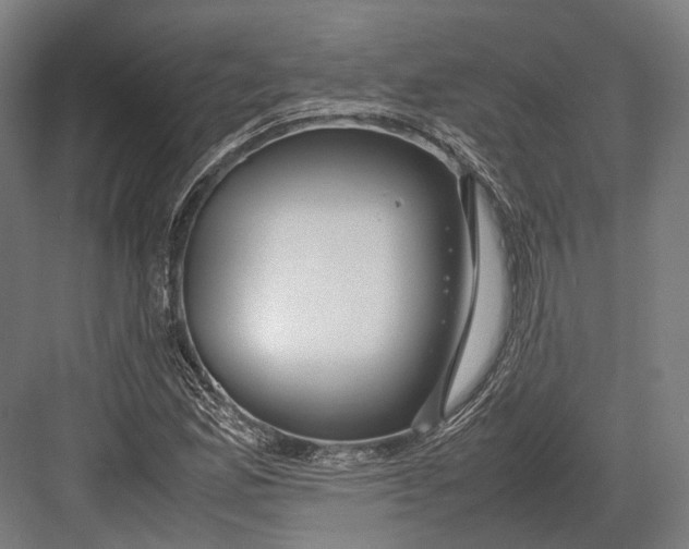 X0000082701165200702161742