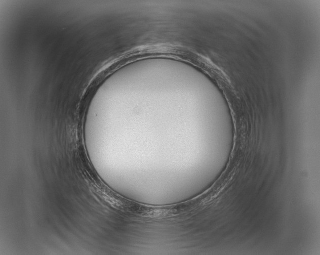 X0000082701166200702161742