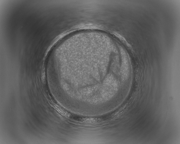 X0000082701167200702161742