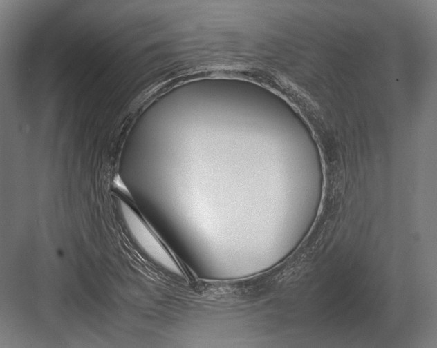 X0000082701169200702161742