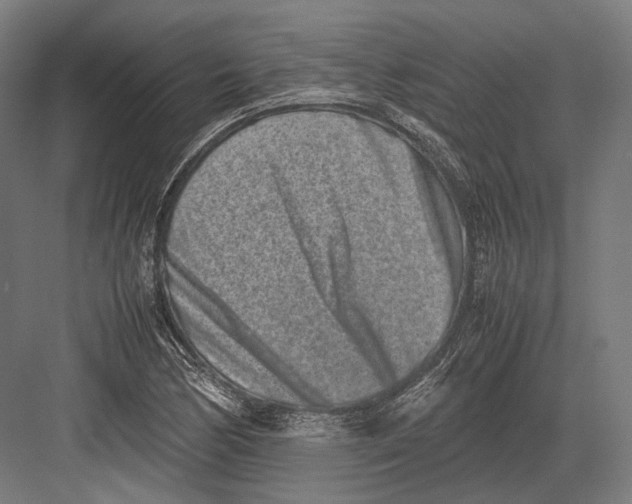 X0000082701170200702161742