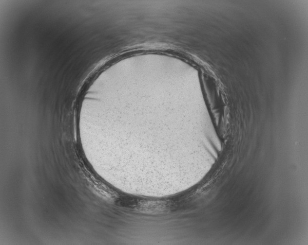 X0000082701171200702161742