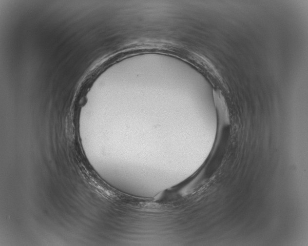 X0000082701172200702161742