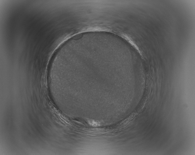 X0000082701173200702161742