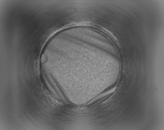 X0000082701174200702161742