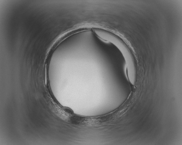 X0000082701175200702161742