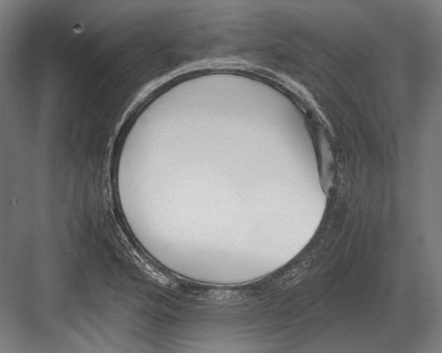 X0000082701176200702161742