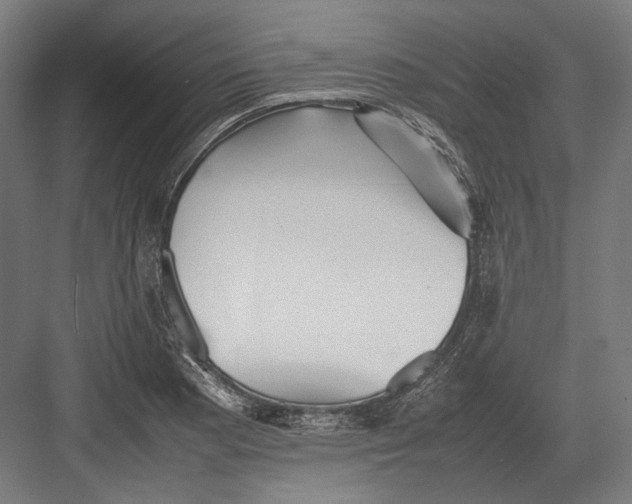 X0000082701177200702161742