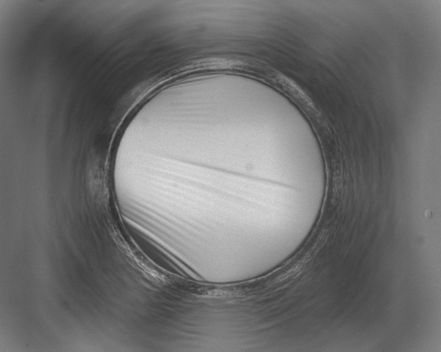 X0000082701178200702161742