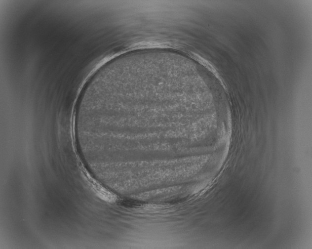 X0000082701179200702161742