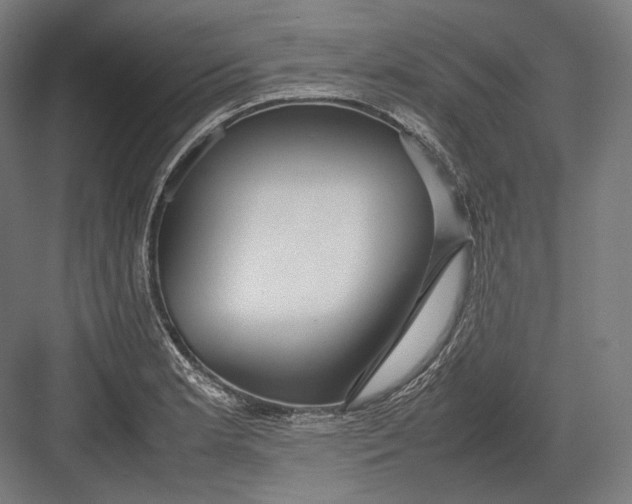 X0000082701181200702161742